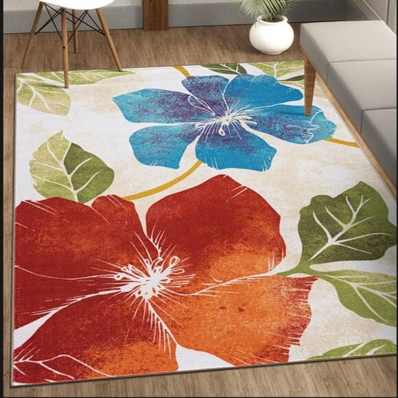 4 x 6 Gorgeous Area Rug - Never been stepped on - Picture 1 of 1